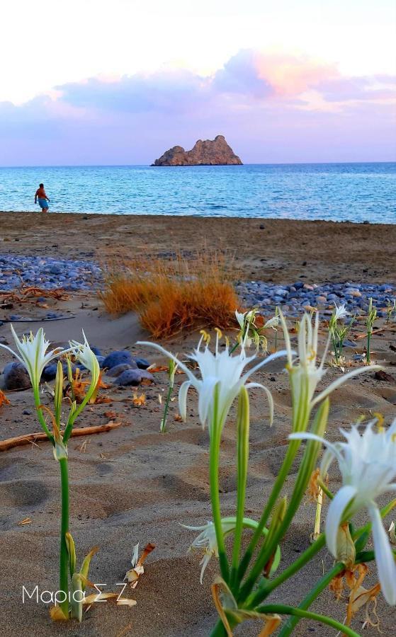 Διαμέρισμα Liviko View