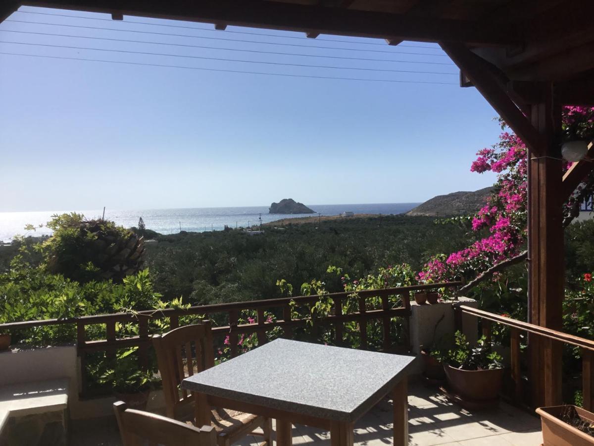 Διαμέρισμα Liviko View *